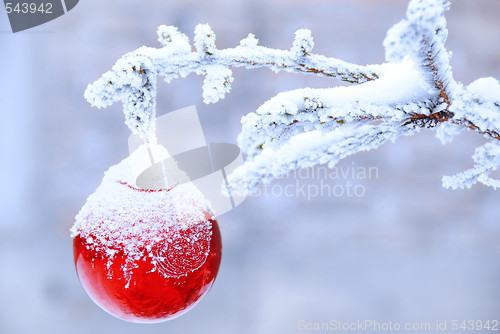 Image of Christmas ball