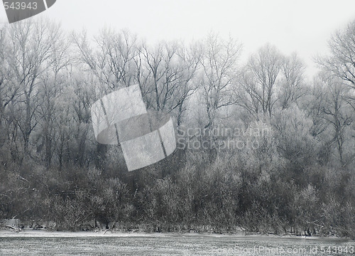 Image of Winter landscape