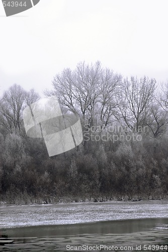 Image of Winter landscape