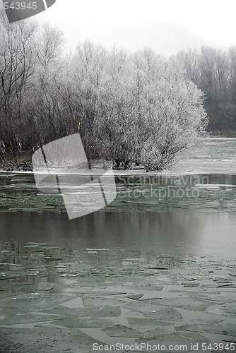 Image of Winter landscape