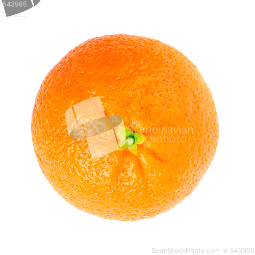 Image of fresh orange