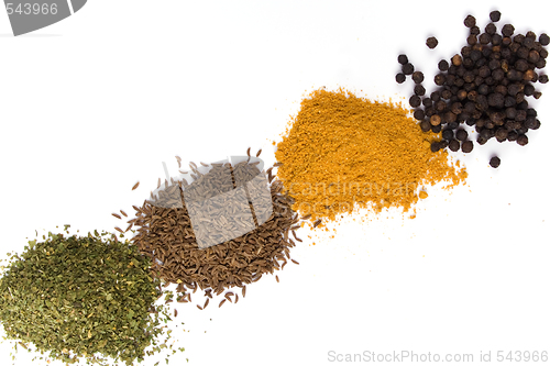 Image of various spices