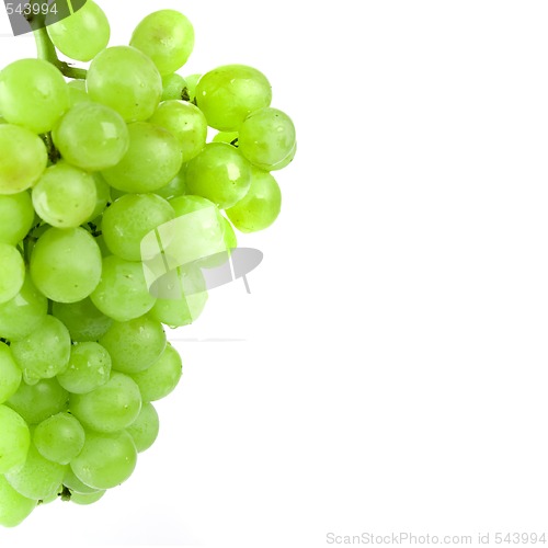 Image of green grapes