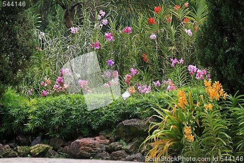 Image of Botanical garden in Singapore