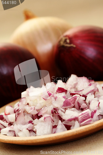 Image of onion