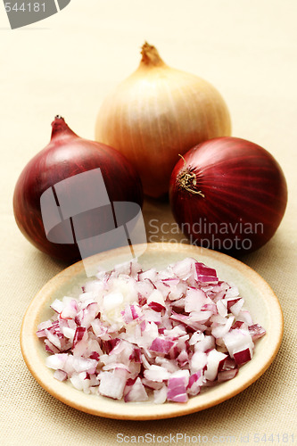 Image of onion