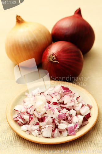 Image of onion