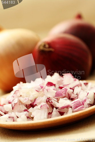 Image of onion