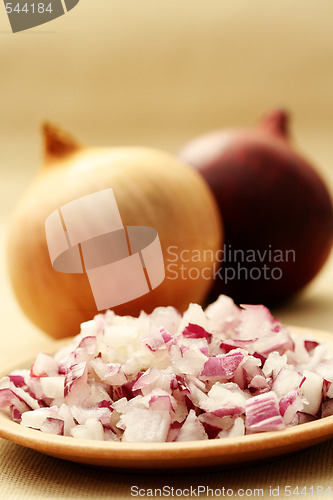 Image of onion