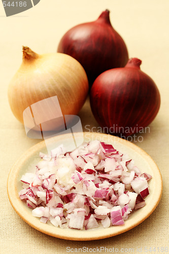 Image of onion