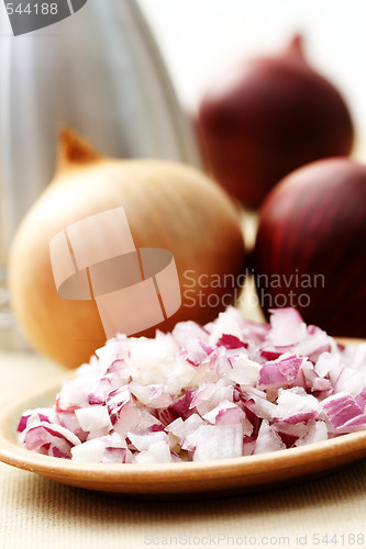 Image of onion