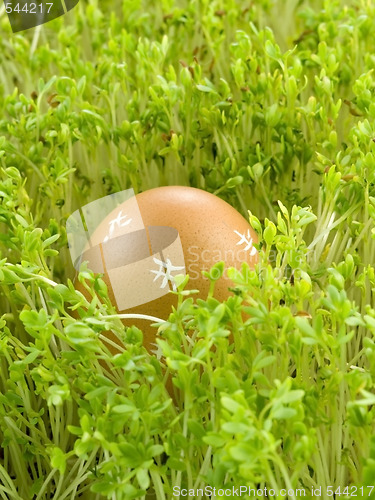 Image of Easter Eggs