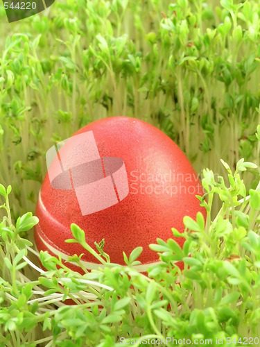 Image of Easter Eggs