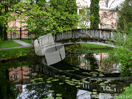 Image of A bridge in the park