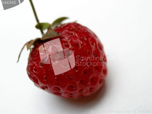 Image of strawberry