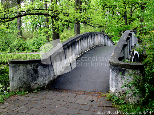 Image of A bridge in the park [2]