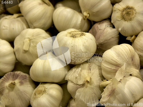 Image of garlic