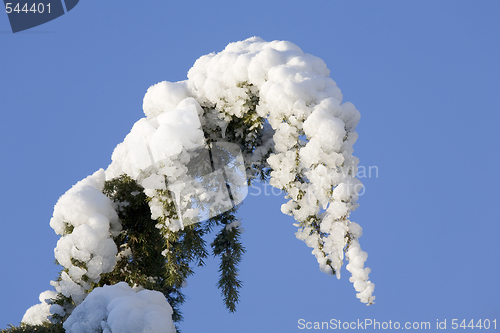 Image of Ice Branch 2