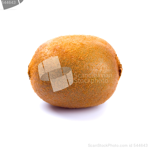 Image of kiwi