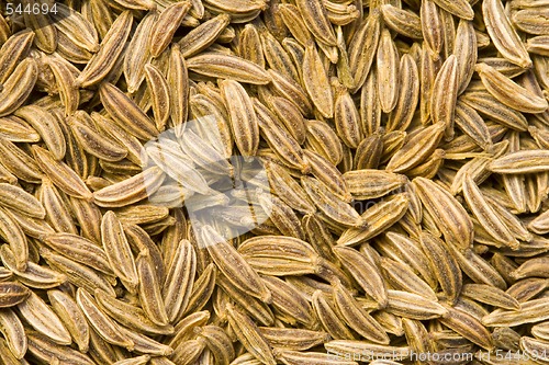 Image of Caraway Seeds