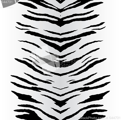 Image of Zebra Stripes