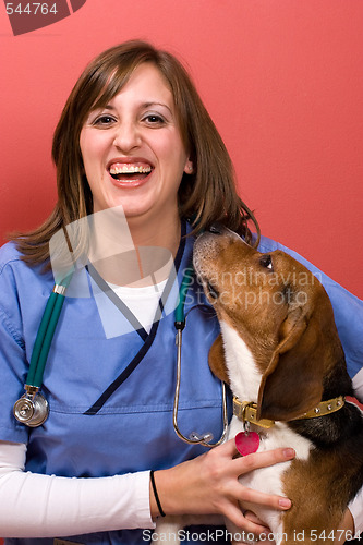 Image of Veterinarian With a Beagle