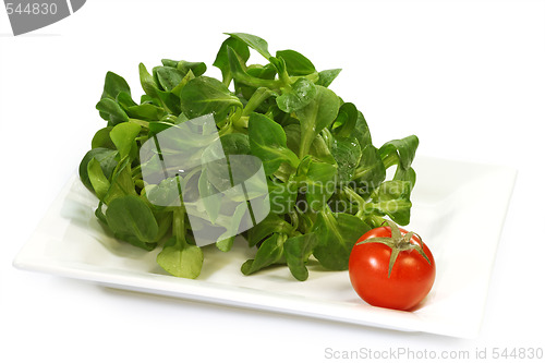 Image of Field salad