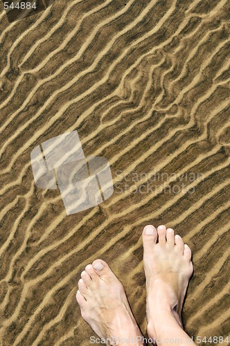 Image of Feet in shallow water