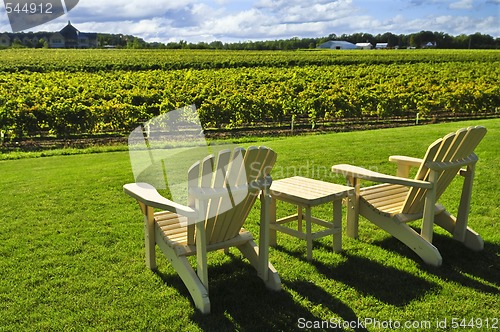 Image of Chairs overlooking vineyard