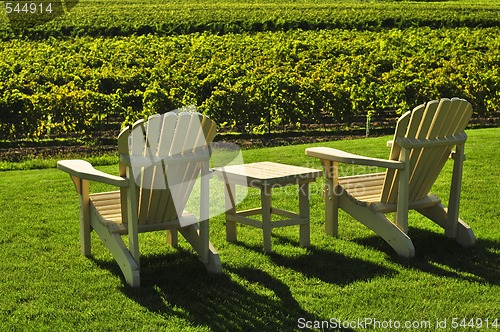 Image of Chairs overlooking vineyard