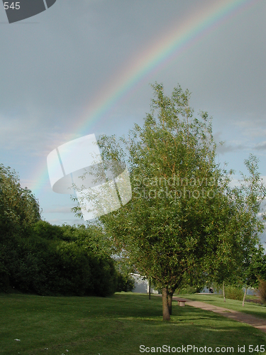 Image of Rainbow