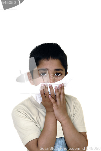 Image of Allergy