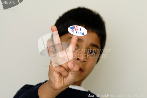 Image of America Votes