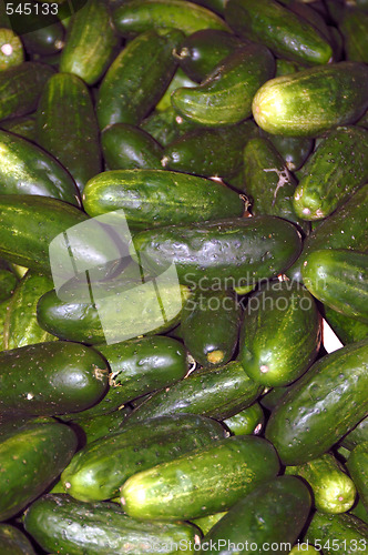 Image of Cucumbers