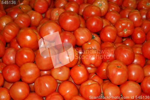 Image of Tomatoes