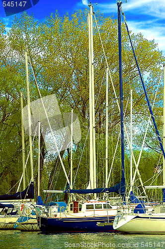 Image of Fishing boats