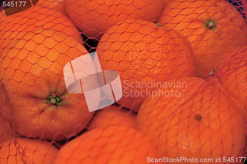 Image of Oranges