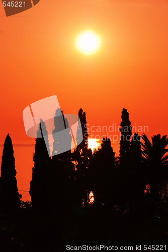 Image of Orange sunset