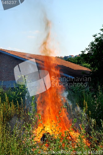 Image of Fire in green grass