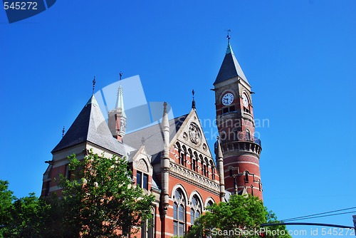 Image of Bushes on building roof