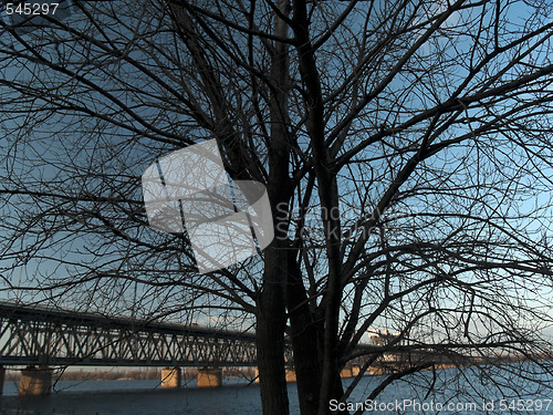Image of Lonely tree and bridge