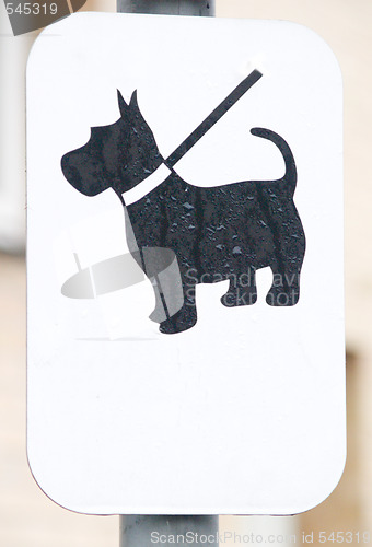 Image of Black dog on white sign with copyspace