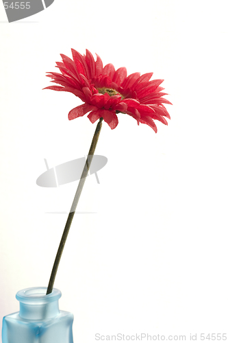 Image of vase with flower