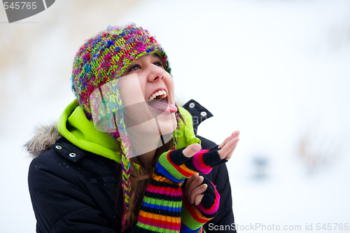 Image of Catching Snowflakes