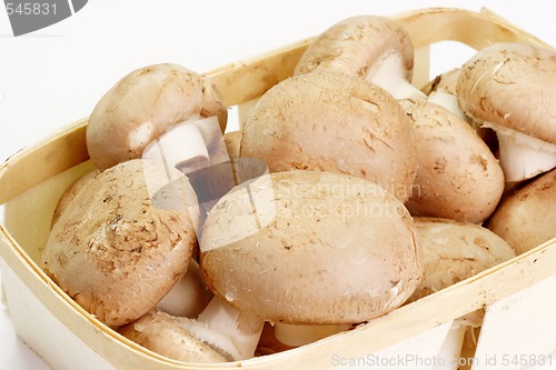 Image of Mushrooms in a Basket