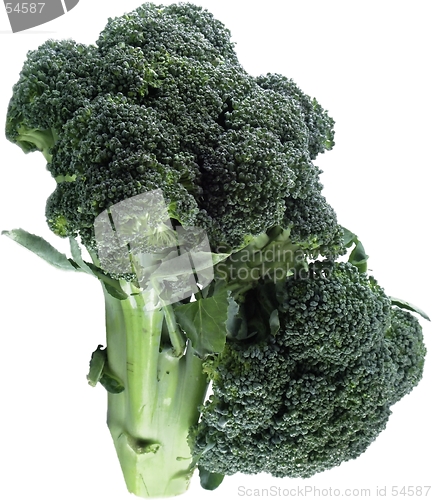 Image of broccoli