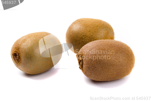 Image of three kiwi