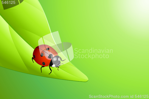 Image of Ladybug on a leaf