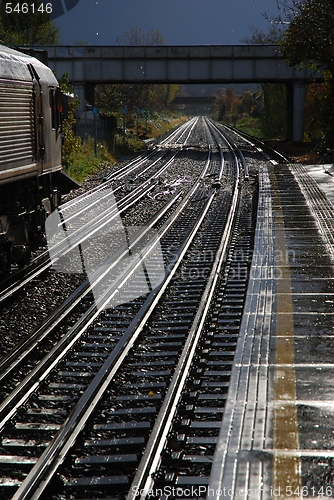 Image of The Tube at Kew Gardens