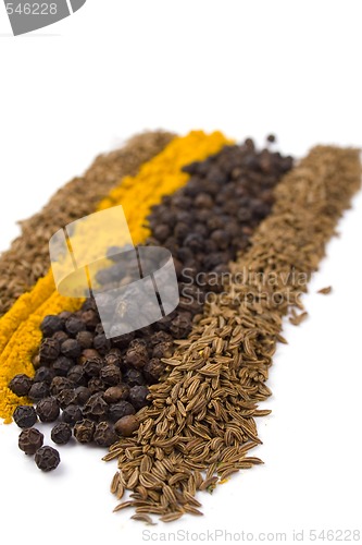 Image of various spices